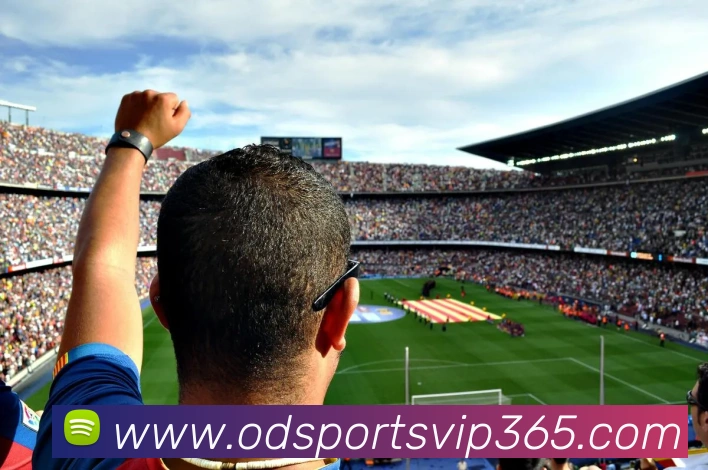 od体育平台生态图